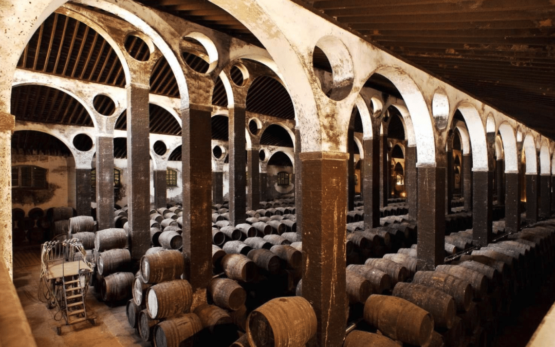 Bodegas