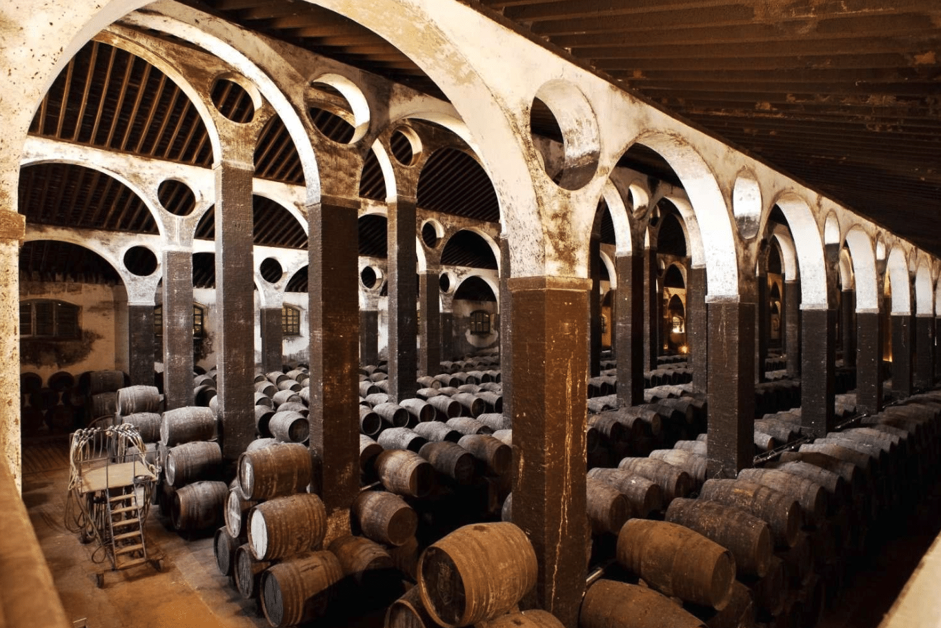 bodega barbardillo