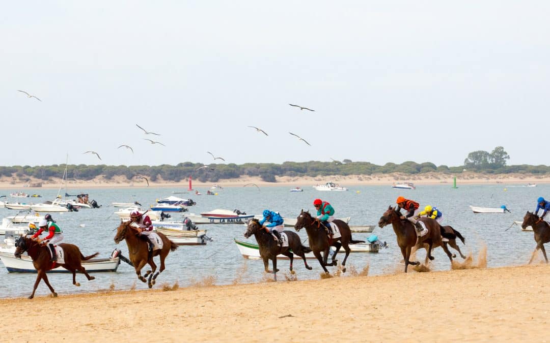 Carreras de Caballos