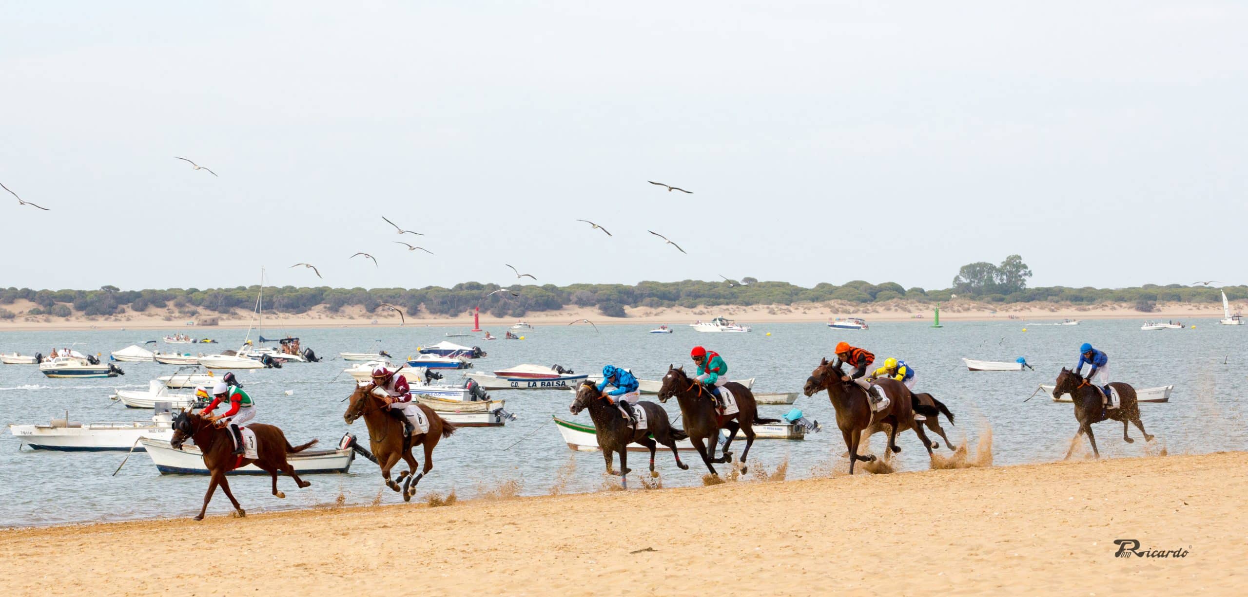 carreras de caballos sanlucar